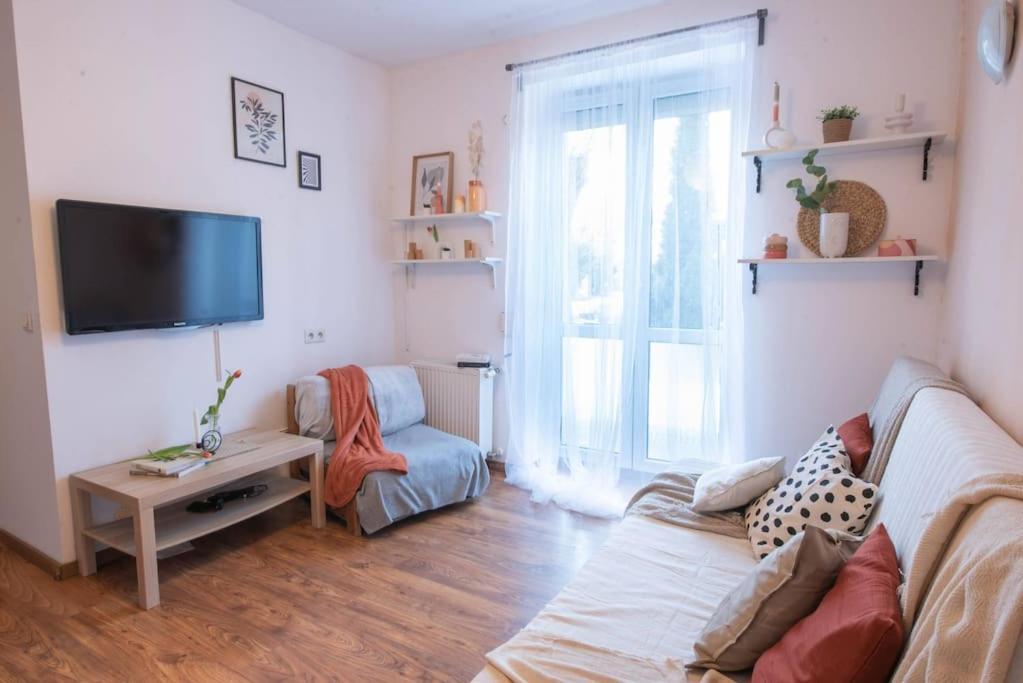 Home Studio Z Ogrodkiem I Altana Krakow Dış mekan fotoğraf