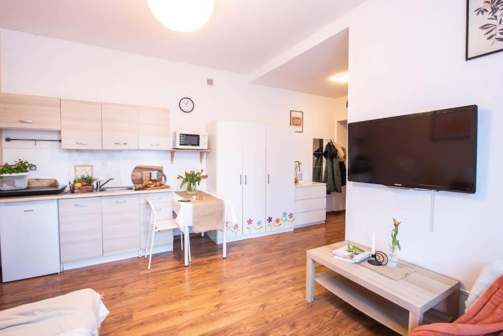 Home Studio Z Ogrodkiem I Altana Krakow Dış mekan fotoğraf